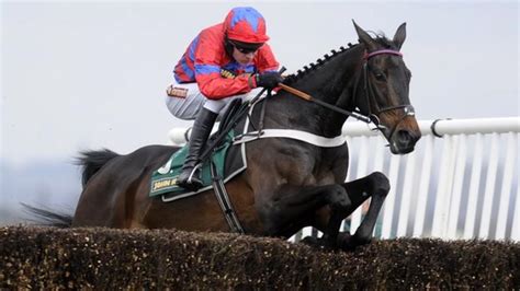 bbc sport. horse. racing|bbc sport horse racing today.